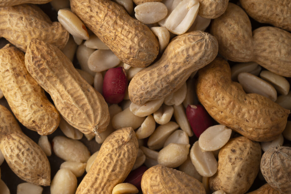 Aara Living Whole peanuts in shells and split peanuts – raw ingredients for cold-pressed groundnut oil