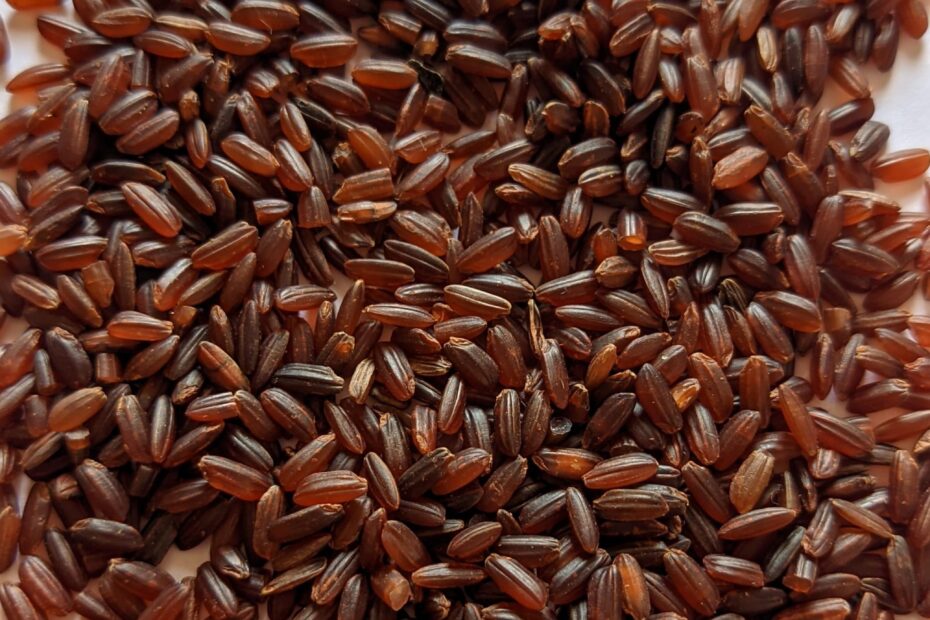 Close-up of Mappillai Samba rice (Bridegroom rice) grains showing their reddish-brown husk and heritage texture, a traditional rice variety from Tamil Nadu.