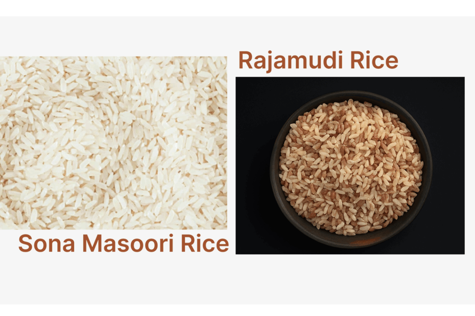 Side-by-side comparison of Sona Masoori rice (white polished medium-grain) and Rajamudi rice (reddish semi-polished heritage grain), highlighting visual differences relevant for diabetes-friendly diets.